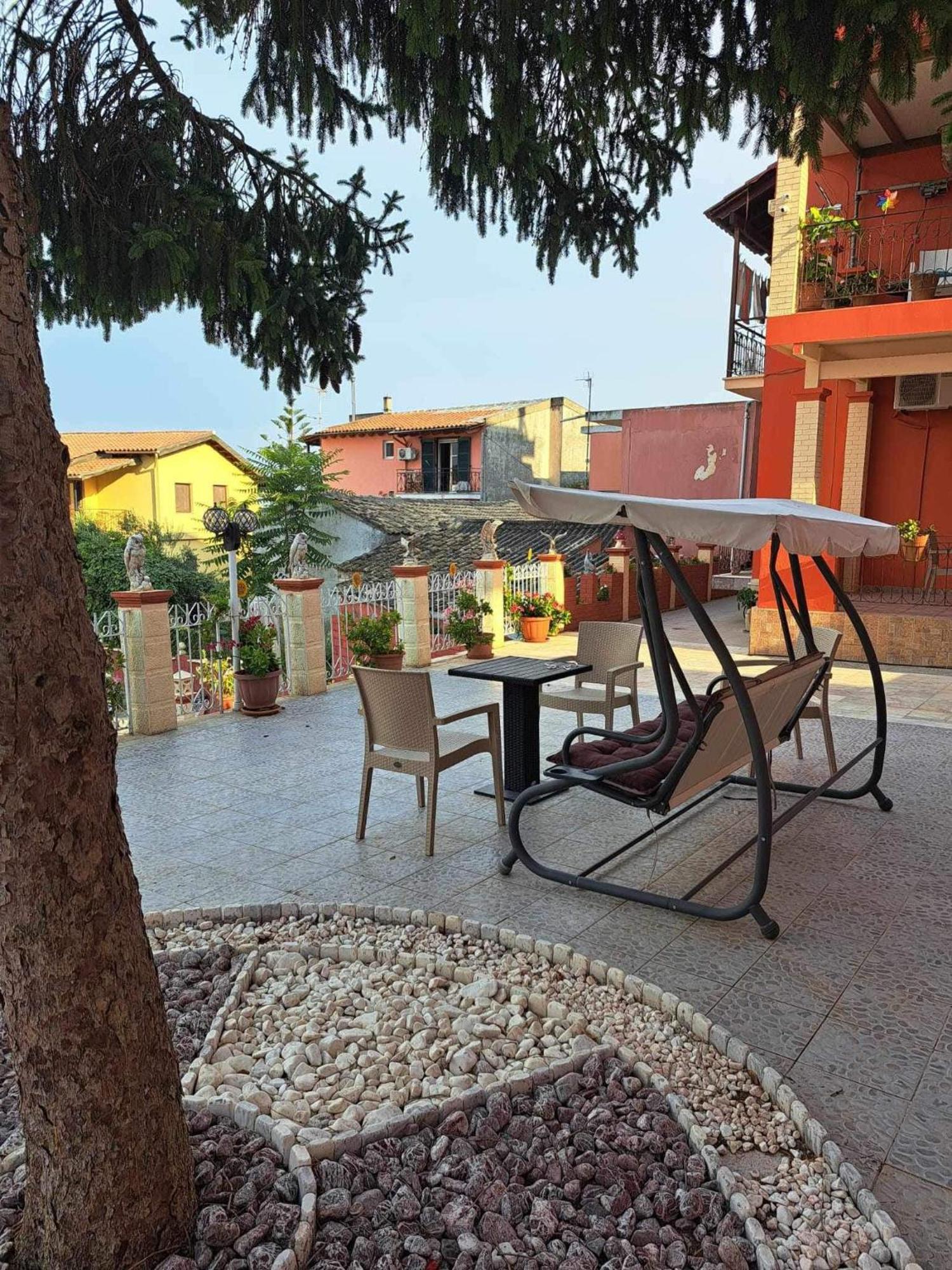 Corfu Sunflower *