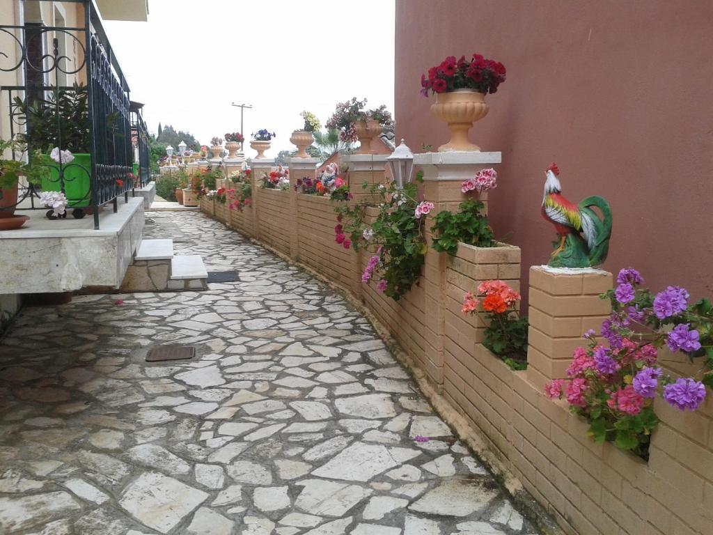 Corfu Sunflower